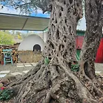Traditional Adobe House In Evrychou With Cozy Garden&fireplace!