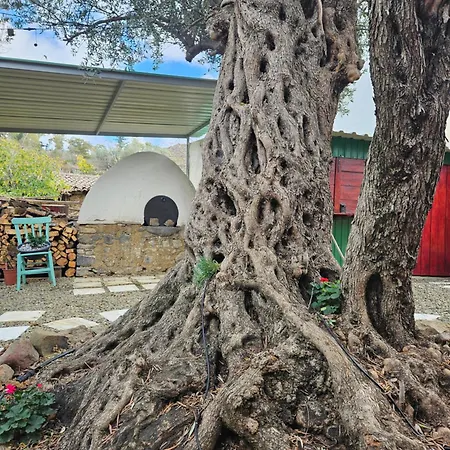 Traditional Adobe House In Evrychou With Cozy Garden And Fireplace!