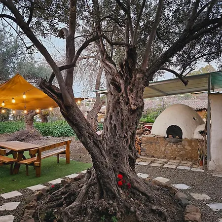 Traditional Adobe House In Evrychou With Cozy Garden And Fireplace! *