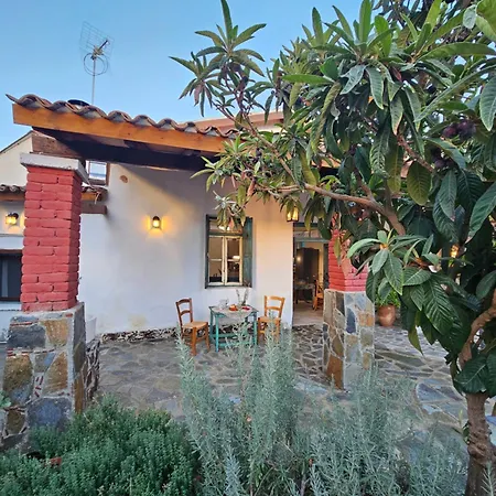 Traditional Adobe House In Evrychou With Cozy Garden And Fireplace! Никосия