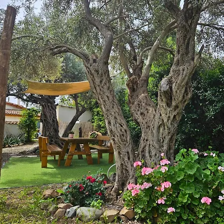 Traditional Adobe House In Evrychou With Cozy Garden&fireplace! Nikozja