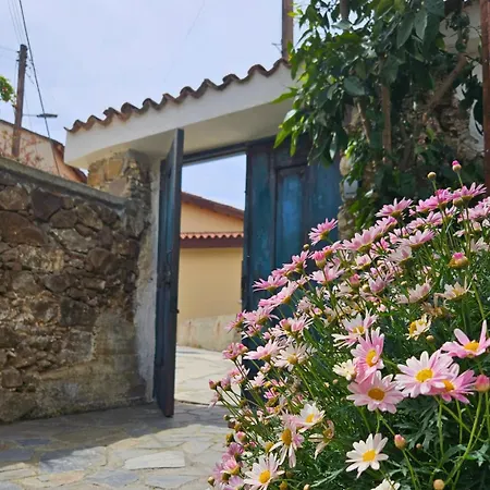 Traditional Adobe House In Evrychou With Cozy Garden&fireplace! Nikozja
