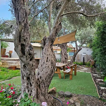 Traditional Adobe House In Evrychou With Cozy Garden&fireplace!