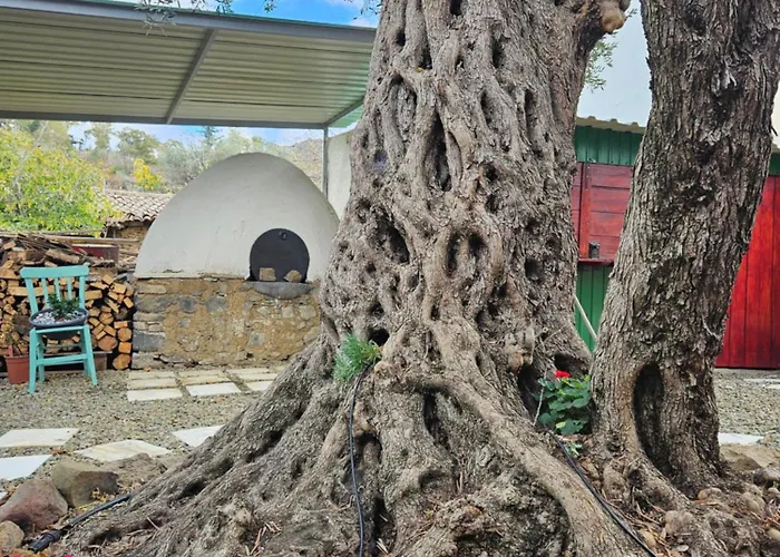 Traditional Adobe House In Evrychou With Cozy Garden And Fireplace!